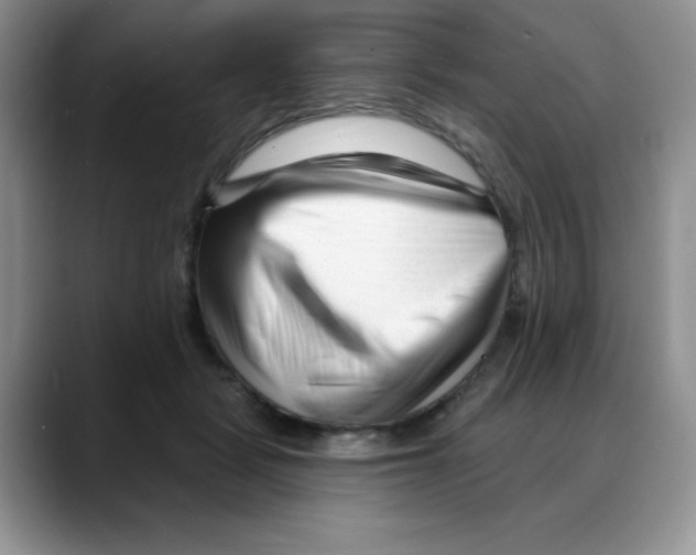 X0000088040461200706081613