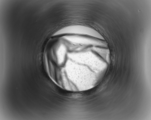 X0000088040462200706081613