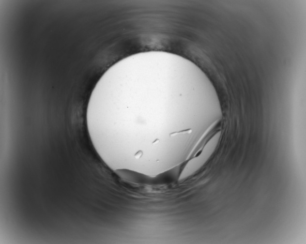 X0000088040466200706081613