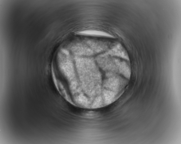 X0000088040467200706081613