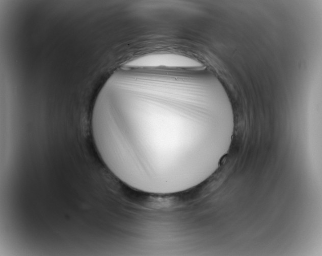 X0000088040469200706081613