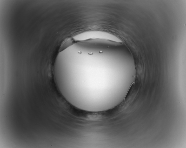 X0000088040470200706081613