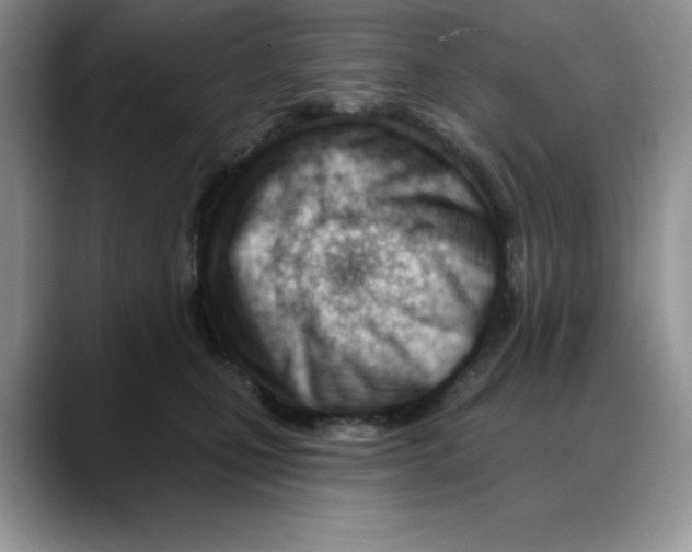 X0000088040471200706081613