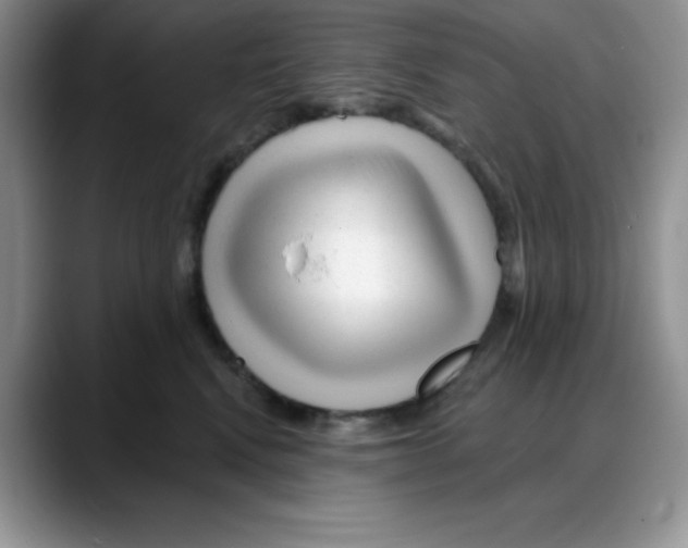 X0000088040472200706081613