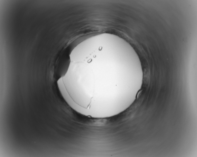 X0000088040474200706081613