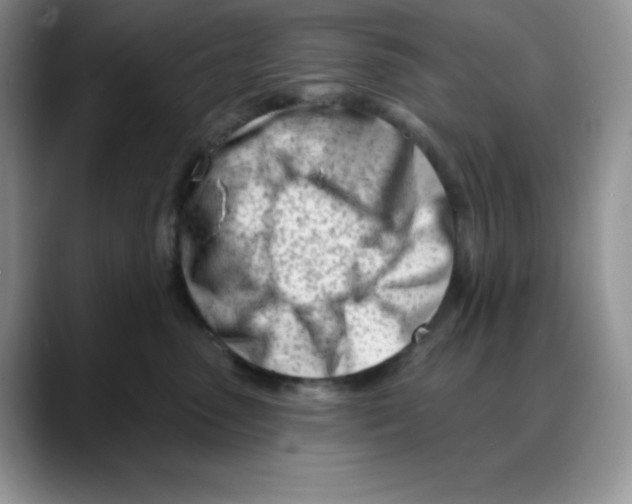 X0000088040475200706081613