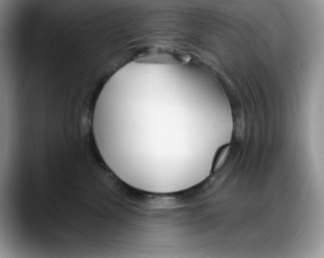 X0000088040476200706081613