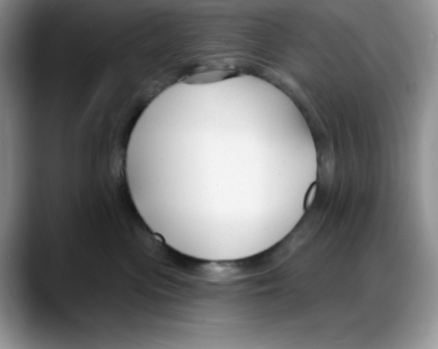 X0000088040477200706081613