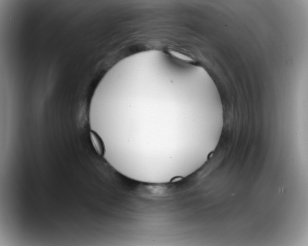 X0000088040478200706081613