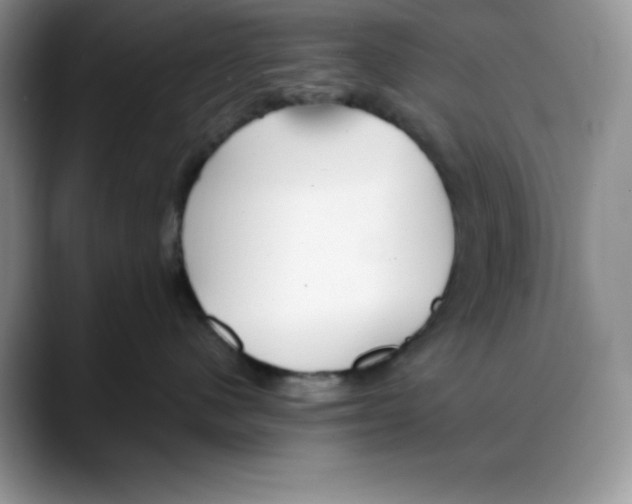 X0000088040480200706081613