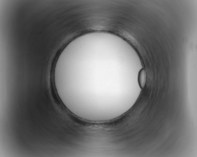 X0000088040482200706081612