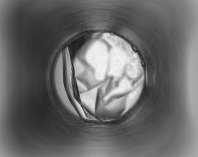 X0000088040483200706081612