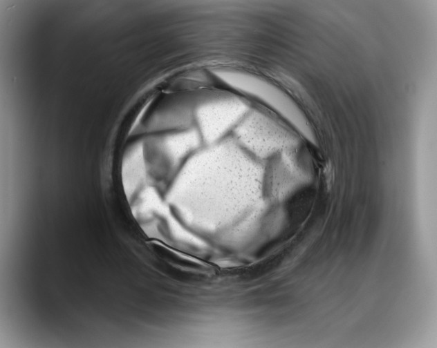 X0000088040484200706081612