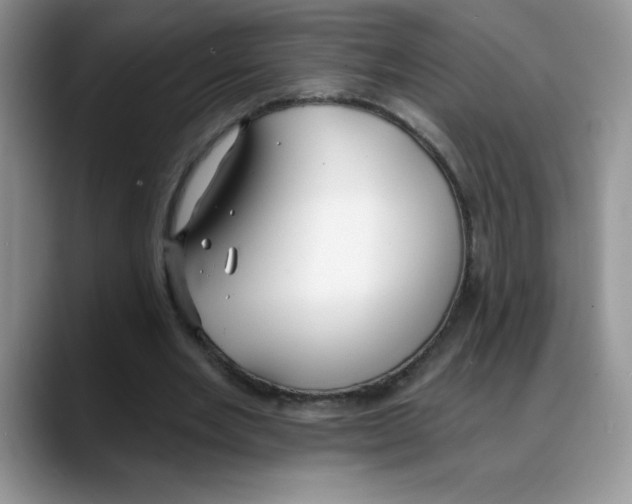 X0000088040485200706081612