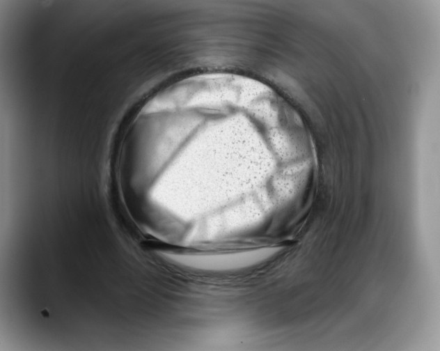 X0000088040488200706081612