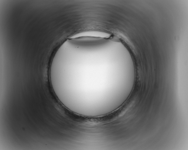 X0000088040489200706081612