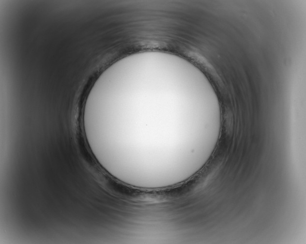 X0000088040490200706081612