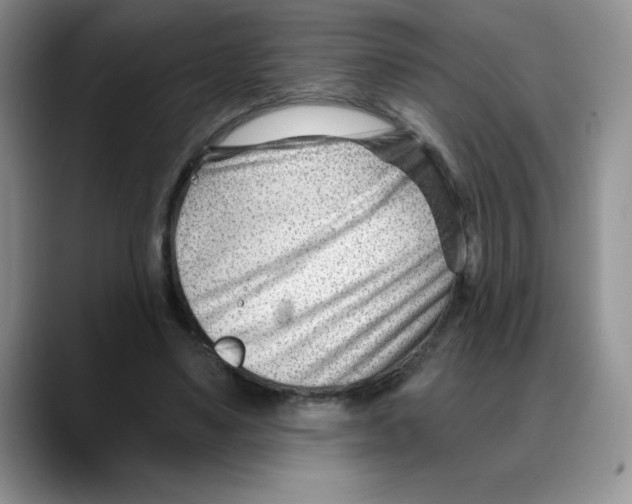 X0000088040491200706081612