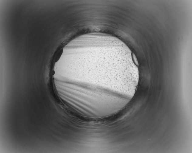 X0000088040496200706081612