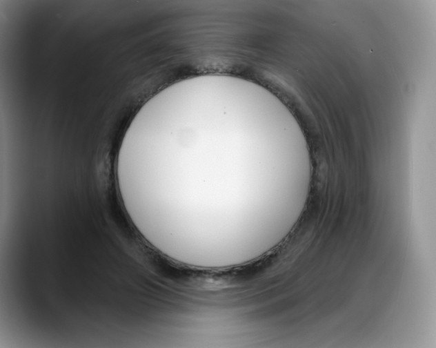 X0000088040498200706081612