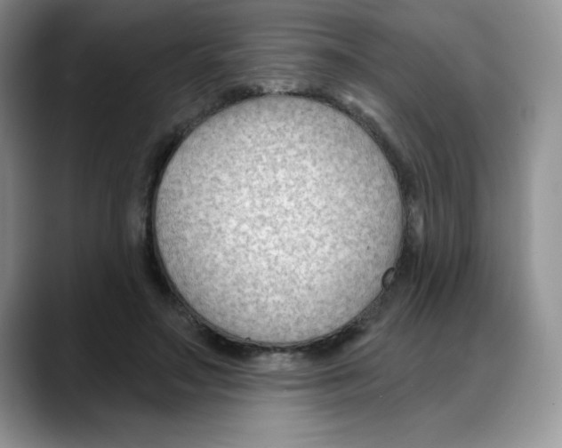 X0000088040499200706081612