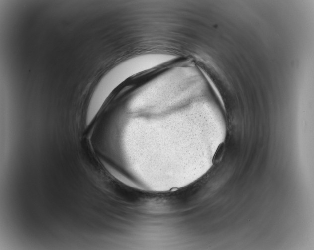 X0000088040500200706081612