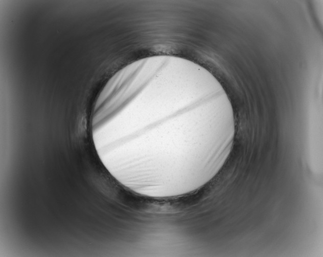 X0000088040502200706081612