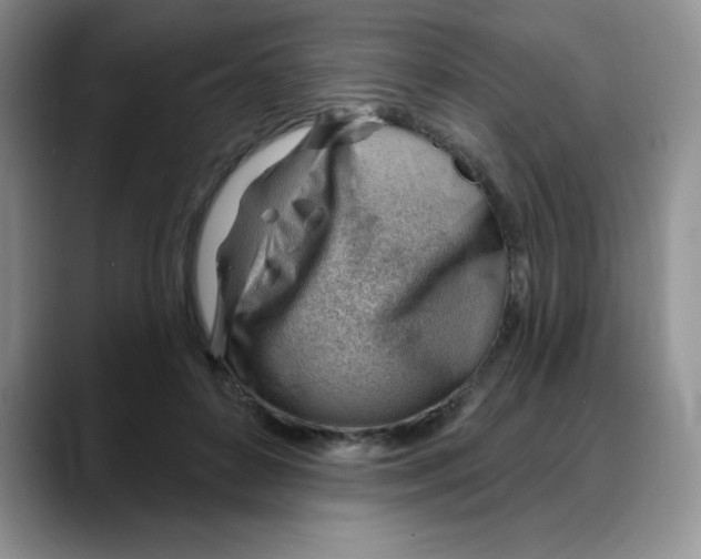 X0000088040504200706081612