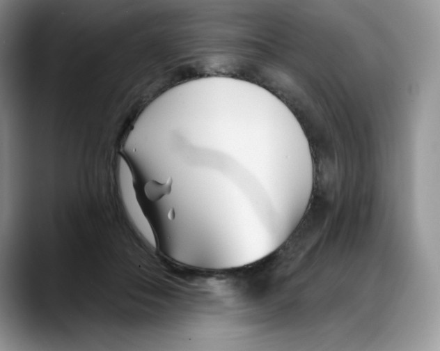 X0000088040506200706081612