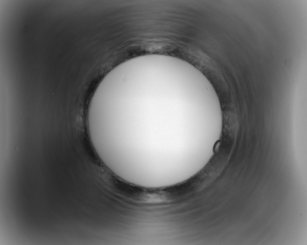 X0000088040510200706081612