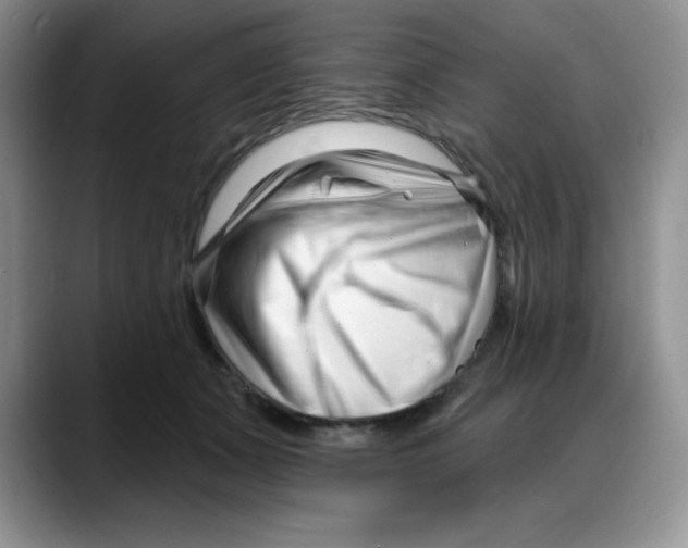 X0000088040511200706081612