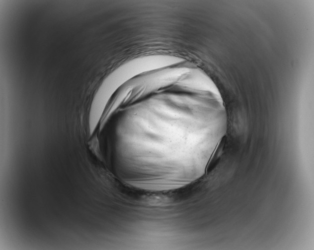 X0000088040512200706081612