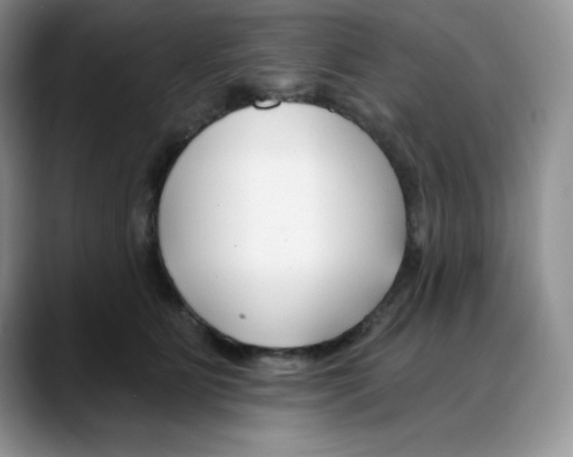 X0000088040515200706081612