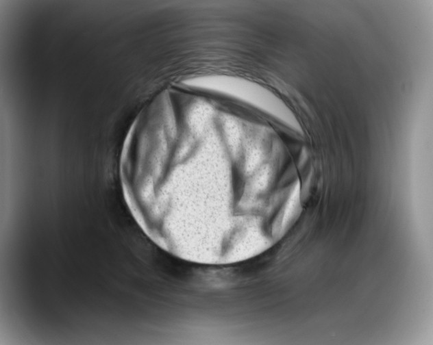 X0000088040517200706081612