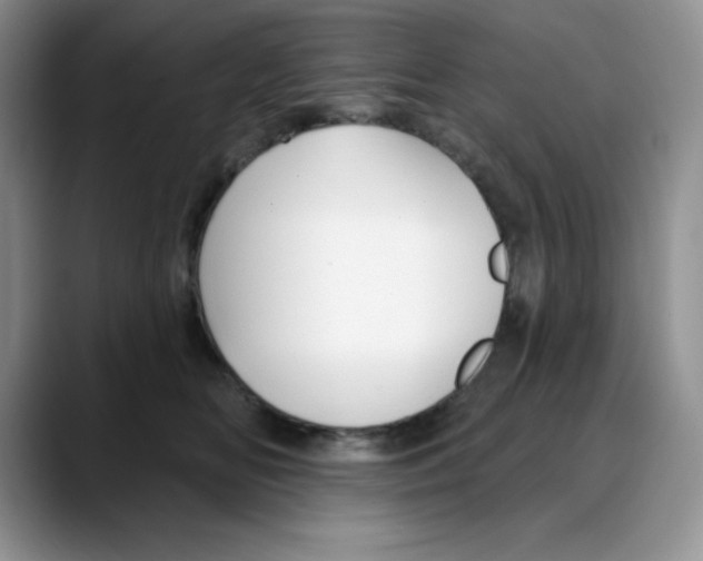 X0000088040518200706081612