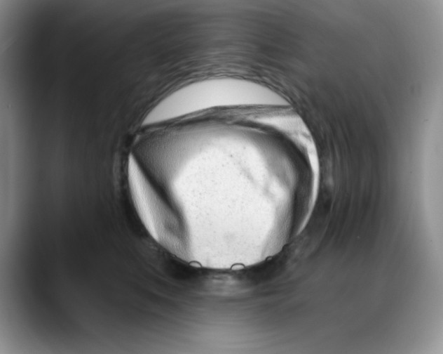 X0000088040519200706081612