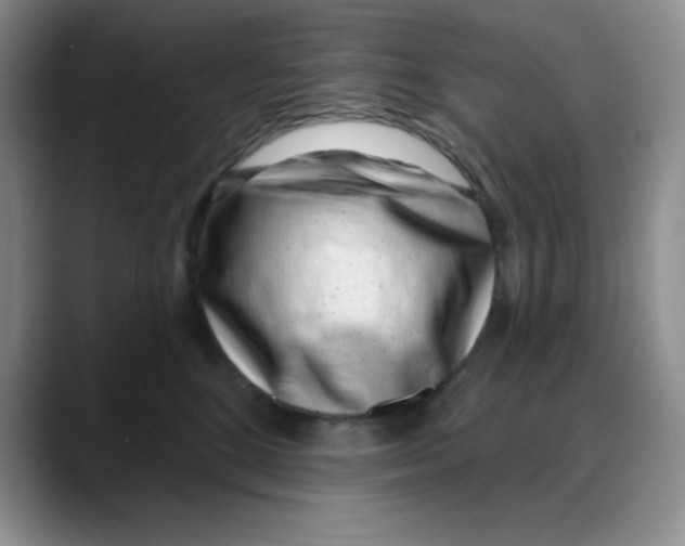 X0000088040520200706081612