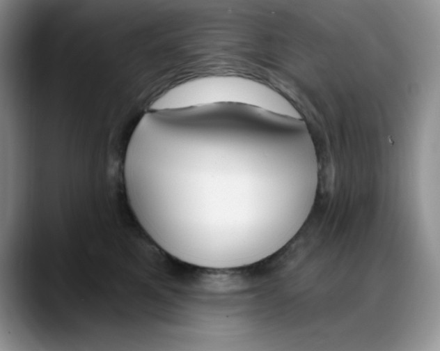 X0000088040521200706081612