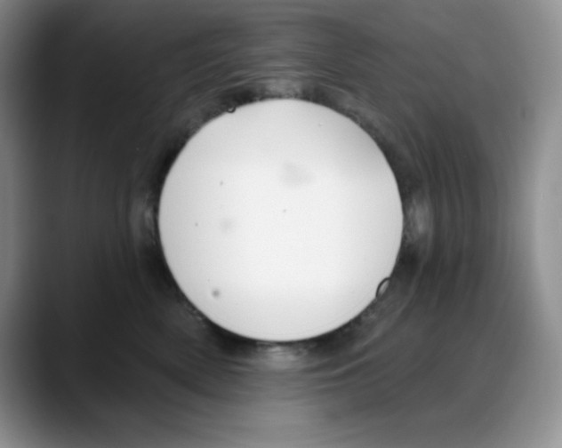 X0000088040522200706081612