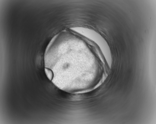 X0000088040527200706081612