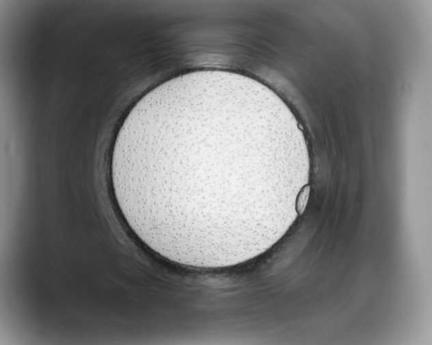 X0000088040529200706081611