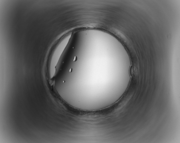 X0000088040532200706081611