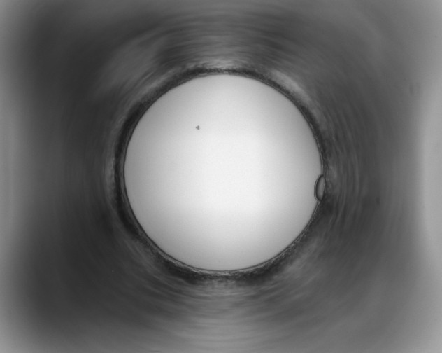 X0000088040535200706081611