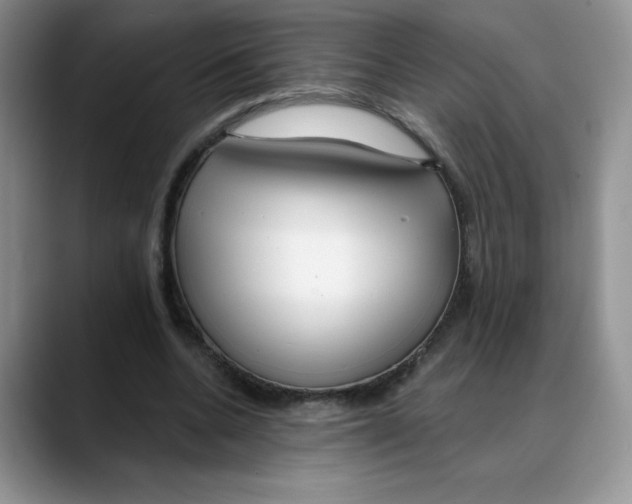 X0000088040536200706081611