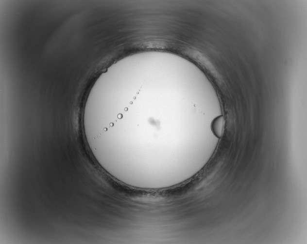 X0000088040537200706081611