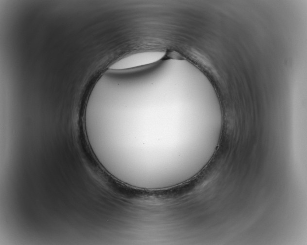 X0000088040538200706081611