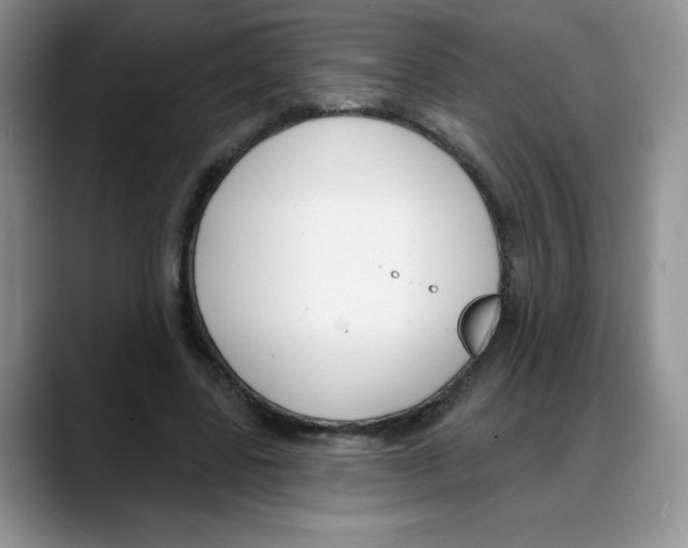 X0000088040539200706081611