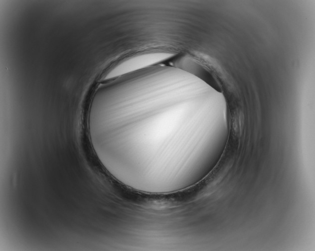 X0000088040540200706081611