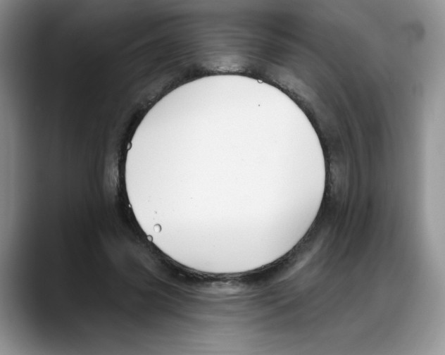 X0000088040541200706081611