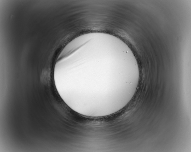 X0000088040542200706081611